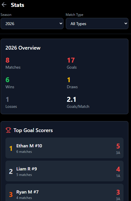 Match Tally mobile stats view